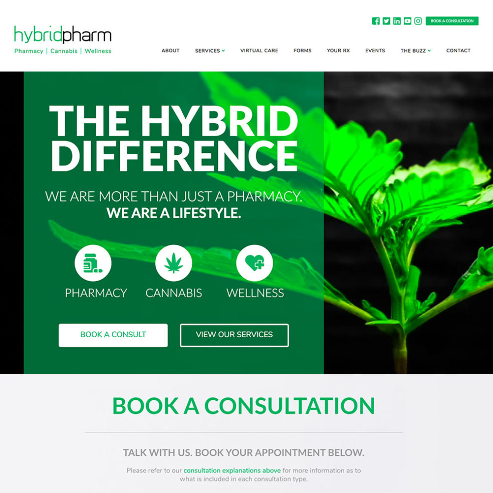 Hybrid Pharm website